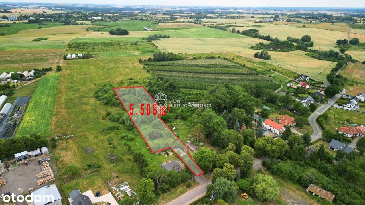 Działka inwestycyjna z Wz dla dewelopera - Pełny obrazek: 4/4