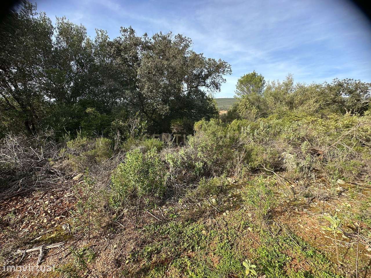 Terreno de 2HA com ruína em Vale da Boa Hora, Parragil (Loulé e Boliqu - Grande imagem: 5/11