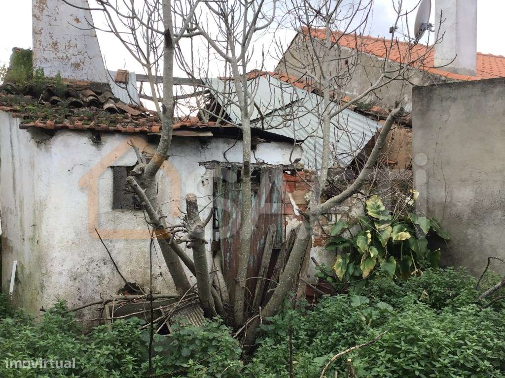 Moradia T2 em estado de ruínas para recuperada em Aldeia tranquila ... - Grande imagem: 4/10
