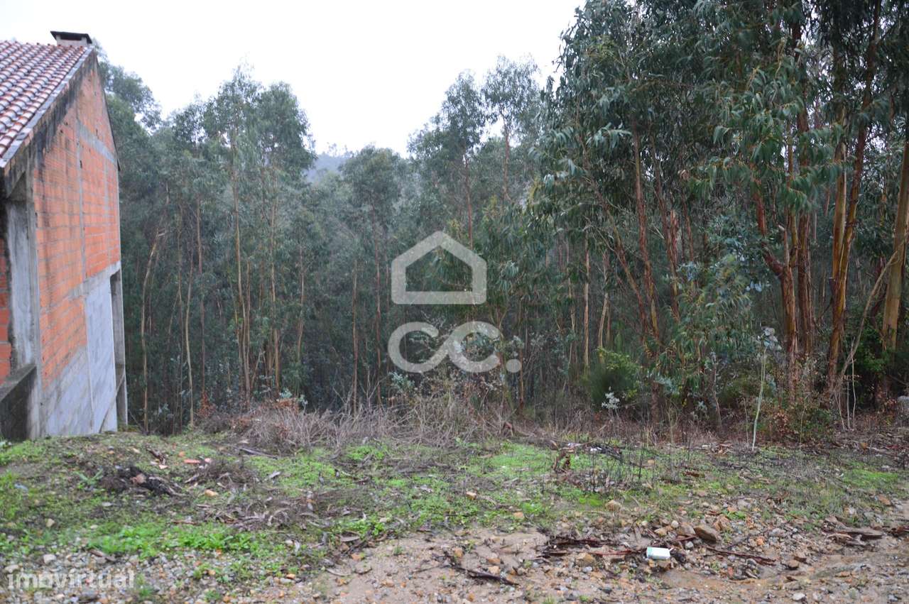 Terreno com zona de construção, Lagares e Figueira, Penafiel - Grande imagem: 4/5