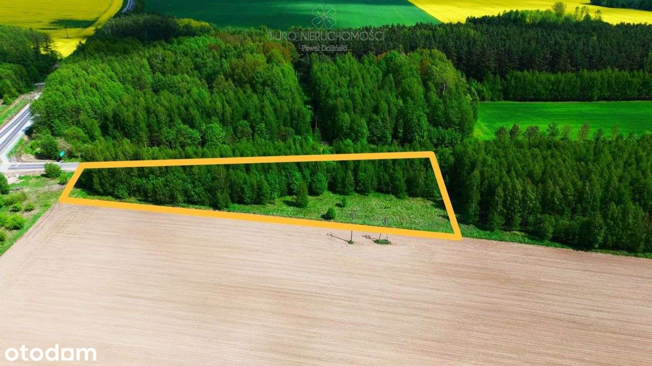 Szczyty-Nowodwory Siedlisko. Twój wymarzony azyl - Pełny obrazek: 4/20