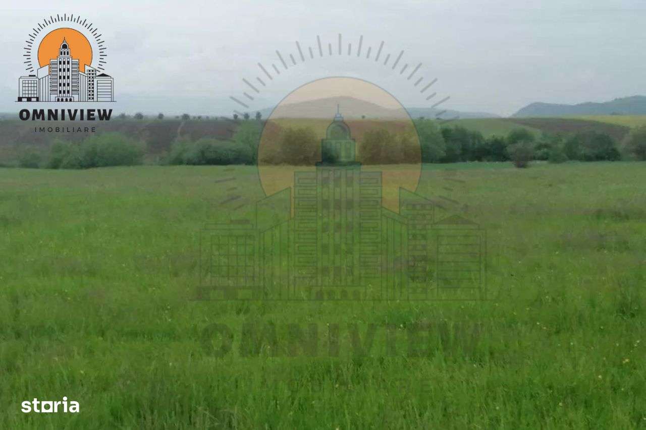 Ofertă: Teren intravilan 47700 mp Dobolii de Jos, doar 20 km de Brasov - Imagine principală: 5/10