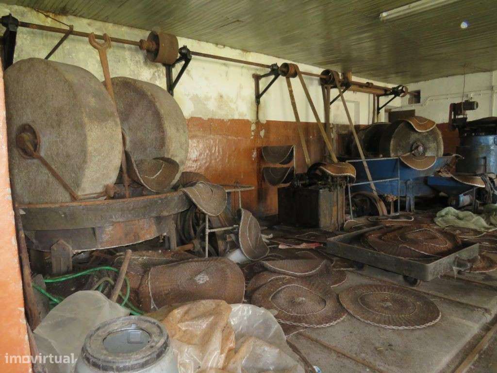 Lagar de Azeite com 380 m2 inativo à 5 anos - Grande imagem: 2/12