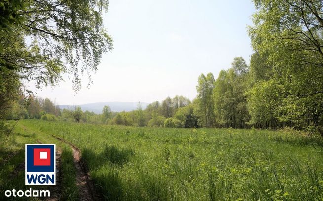 Działka, 40 068 m², Lądek-Zdrój