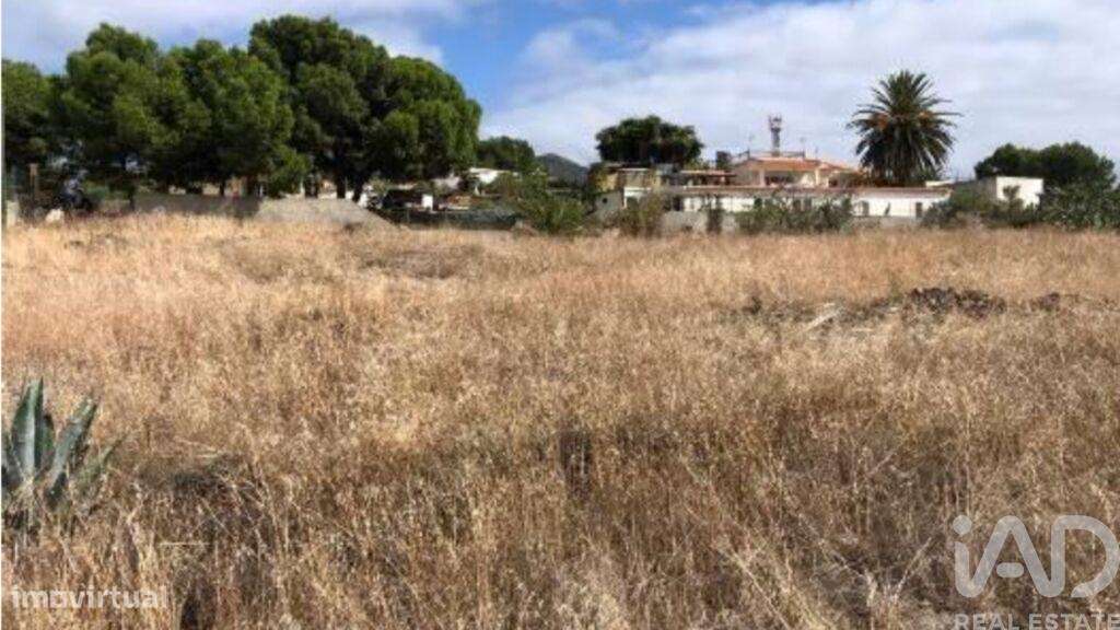 Prédio T5 em Porto Santo de 4766,00 m2 - Grande imagem: 4/15