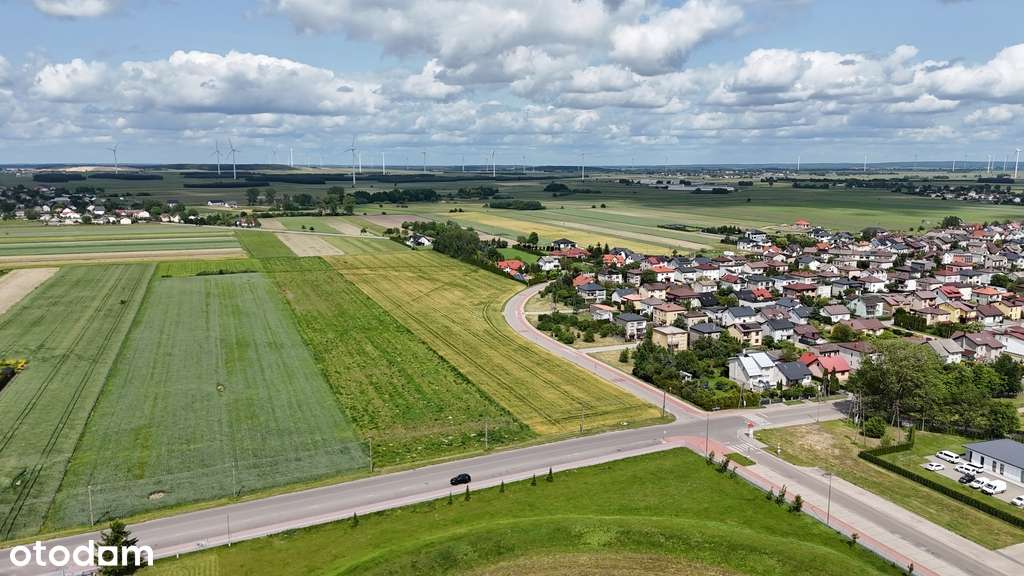 Żuromin, dz.296, 1,69ha- możliwy podział ! - Pełny obrazek: 5/5