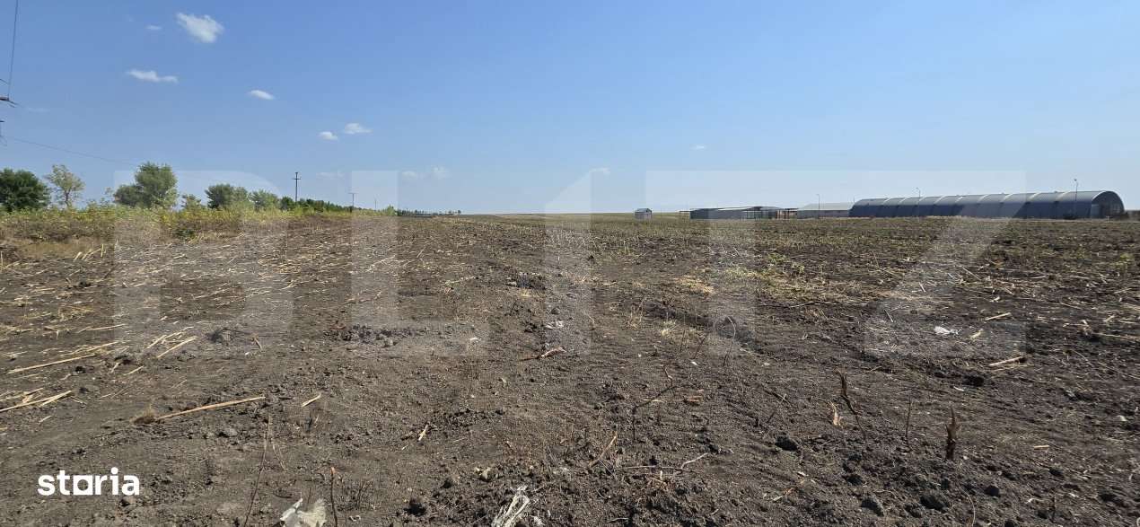 Oportunitate Investitie, Teren intravilan 15000 mp, zona Mischii/Motoc - Imagine principală: 5/5
