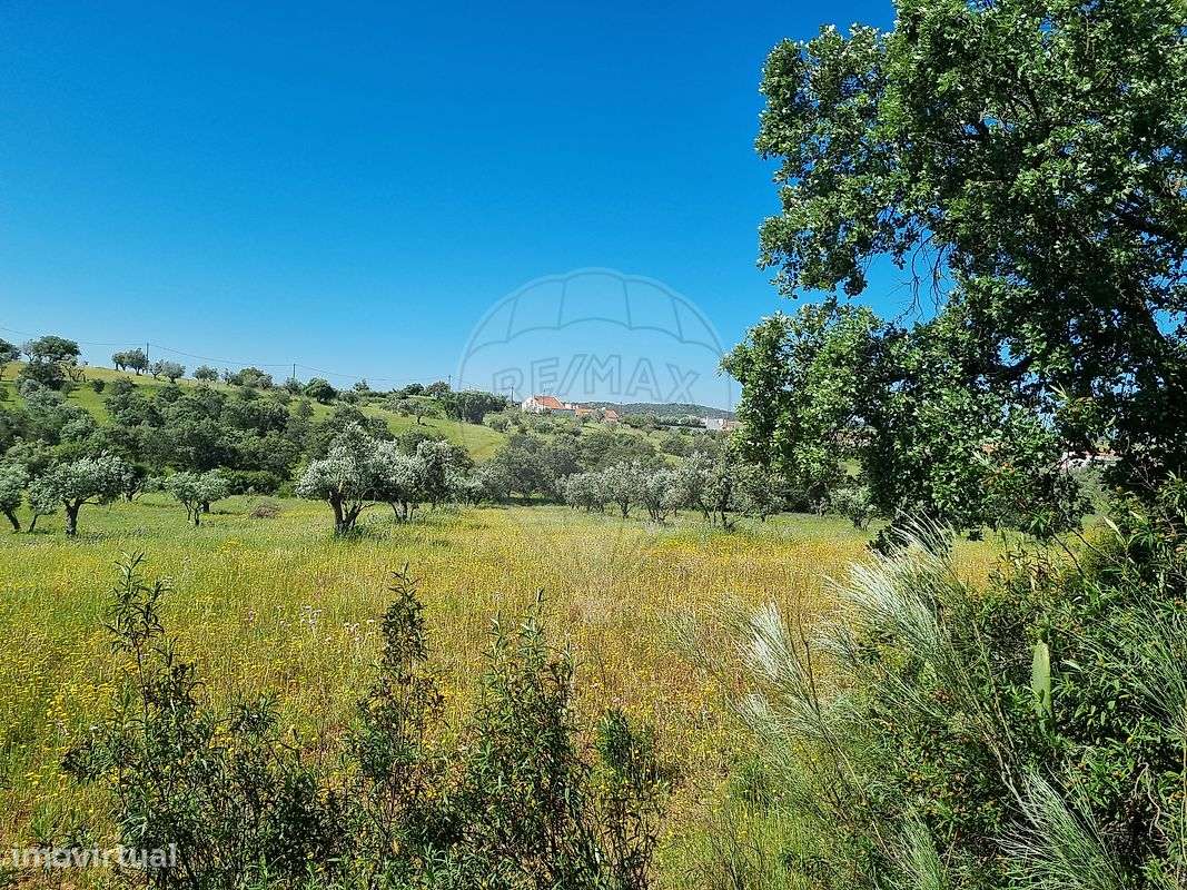 Terreno  para venda - Grande imagem: 2/3