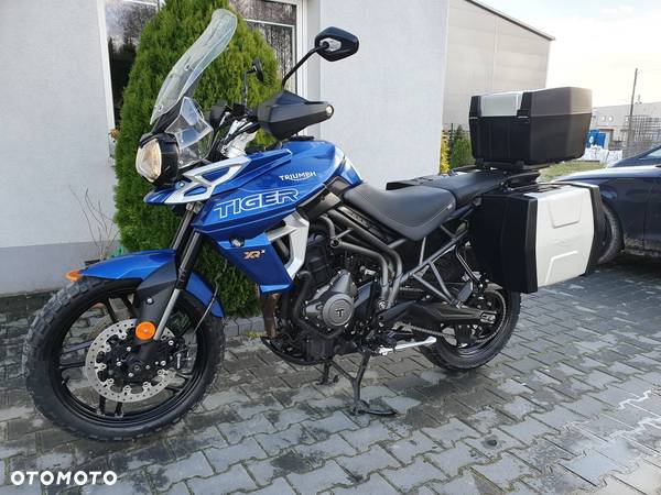 Triumph Tiger - 5