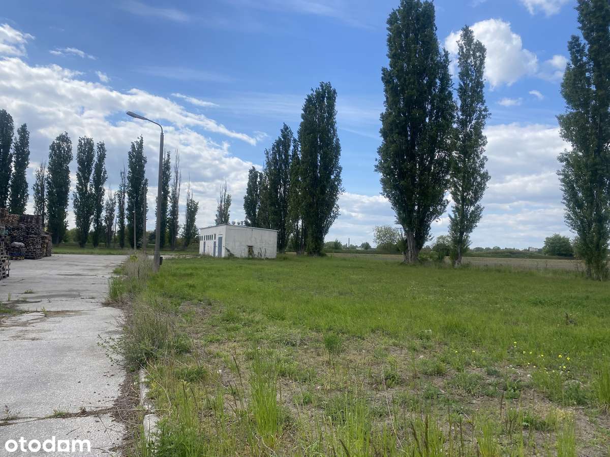 Działka pod działalność -ul. Mątewska Inowrocław - Pełny obrazek: 2/4