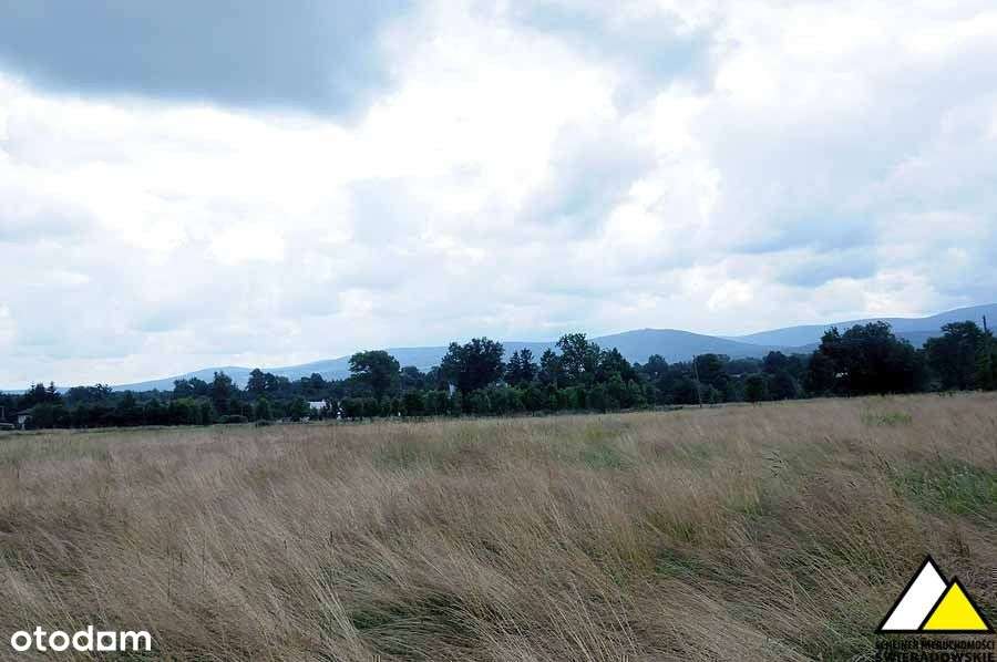 Blisko Wolimierza-18