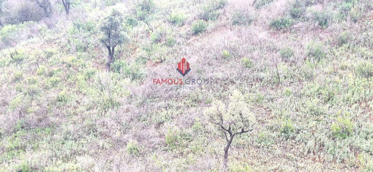 Terreno Rústico com recursos naturais, Marmelete - Grande imagem: 4/13