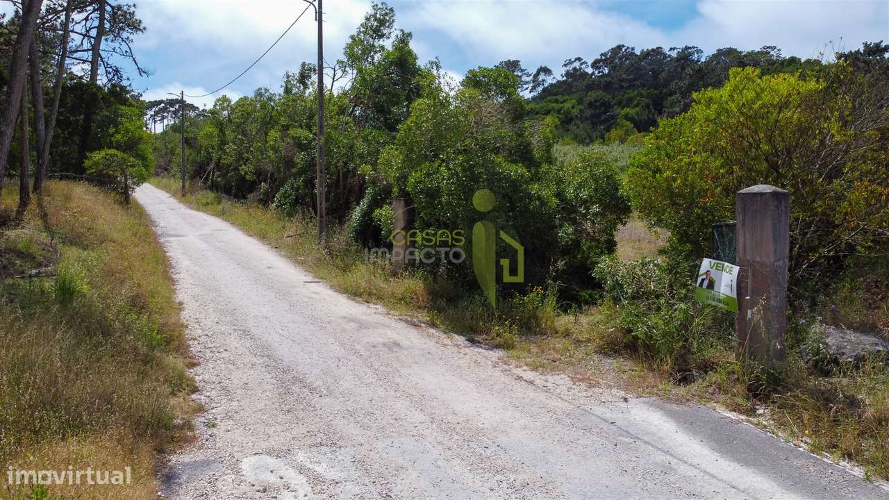 Terreno Rustico com 3.000m2 em Colares-9