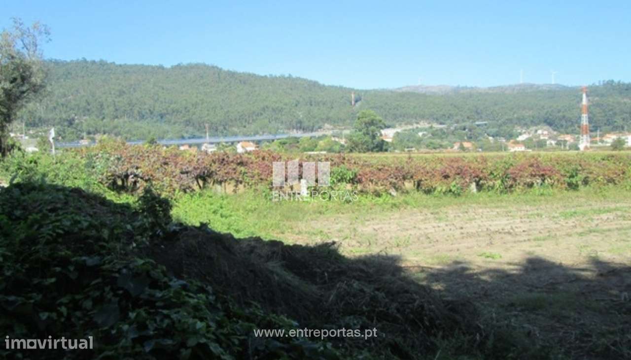 Venda de Terreno agrícola, Perre, Viana do Castelo - Grande imagem: 2/24