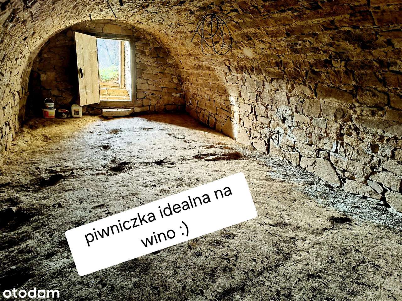 Wyjątkowe siedlisko na podkarpaciu.95 ar. - Pełny obrazek: 4/13