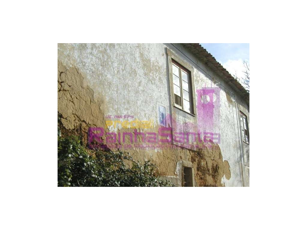 Quinta com casa para recuperar - Cernache - Grande imagem: 5/9