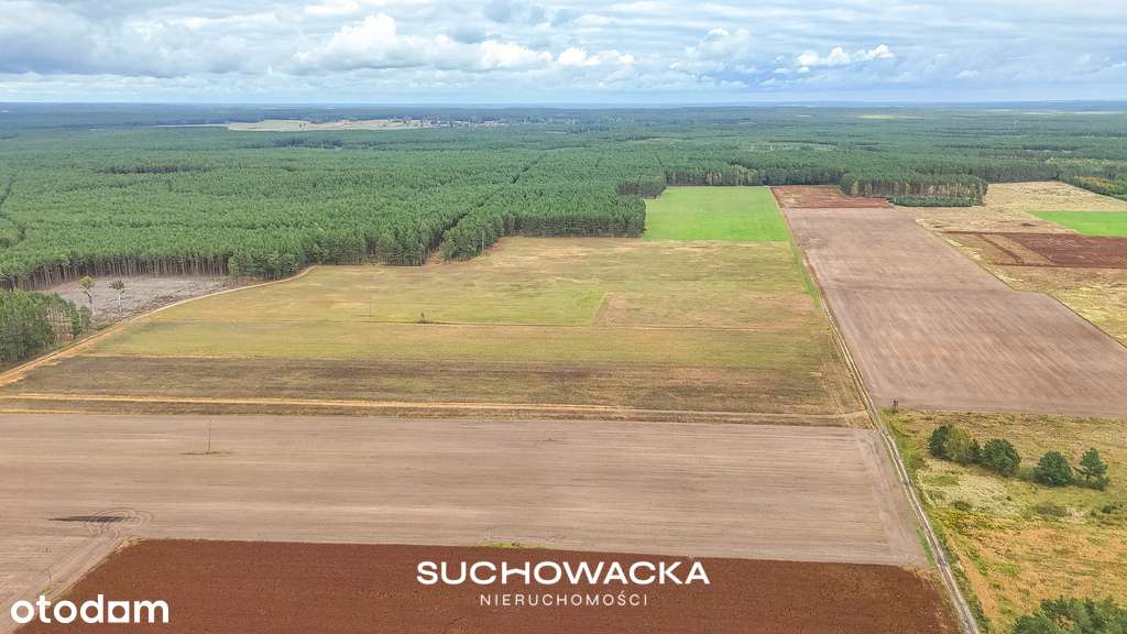 Działka rolna, 1,27 ha, Lipno, gm. Świdnica - Pełny obrazek: 5/7