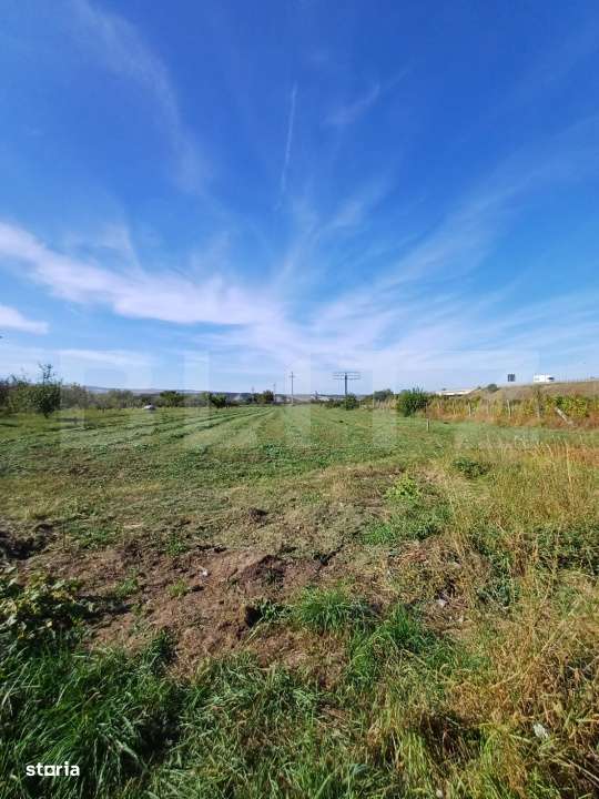 Teren extravilan, cu CF, 2963 mp, in Mihai Viteazu - Imagine principală: 4/4