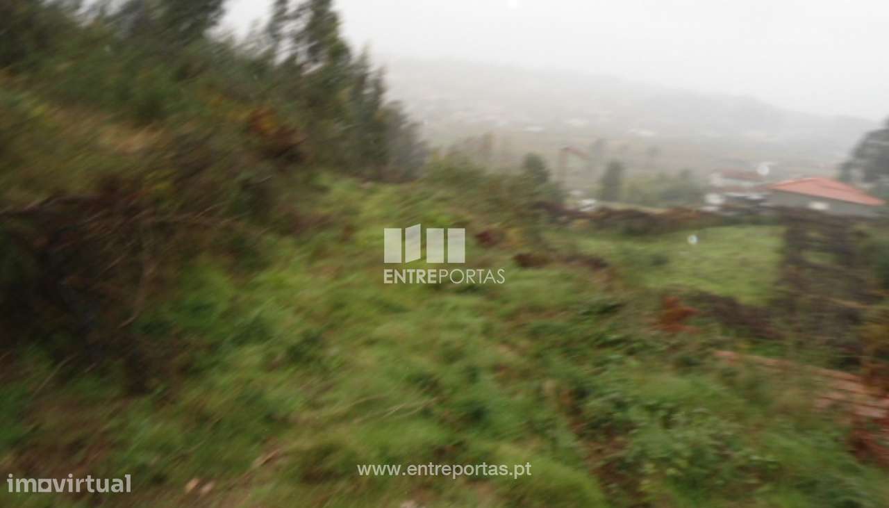 Venda Terreno, Croca, Penafiel - Grande imagem: 3/10