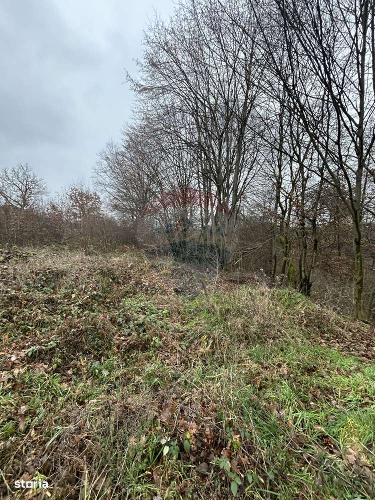 Teren 1,200mp si 400m2 cota drum Satu Nou de Jos / Strada Principala-6