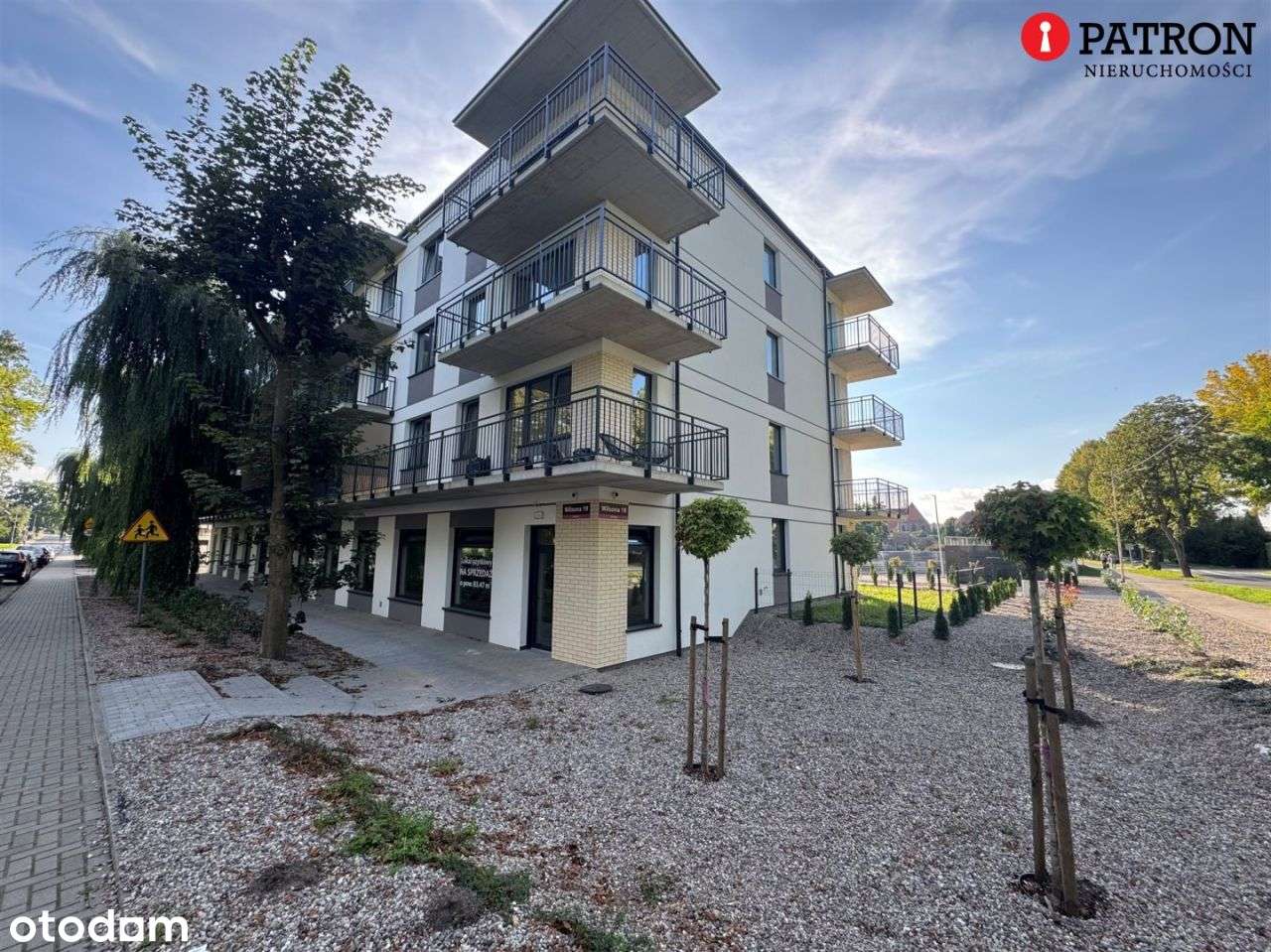 Ostatni lokal użytkowy przy Wilsona 19 w Chojnie - Pełny obrazek: 5/19