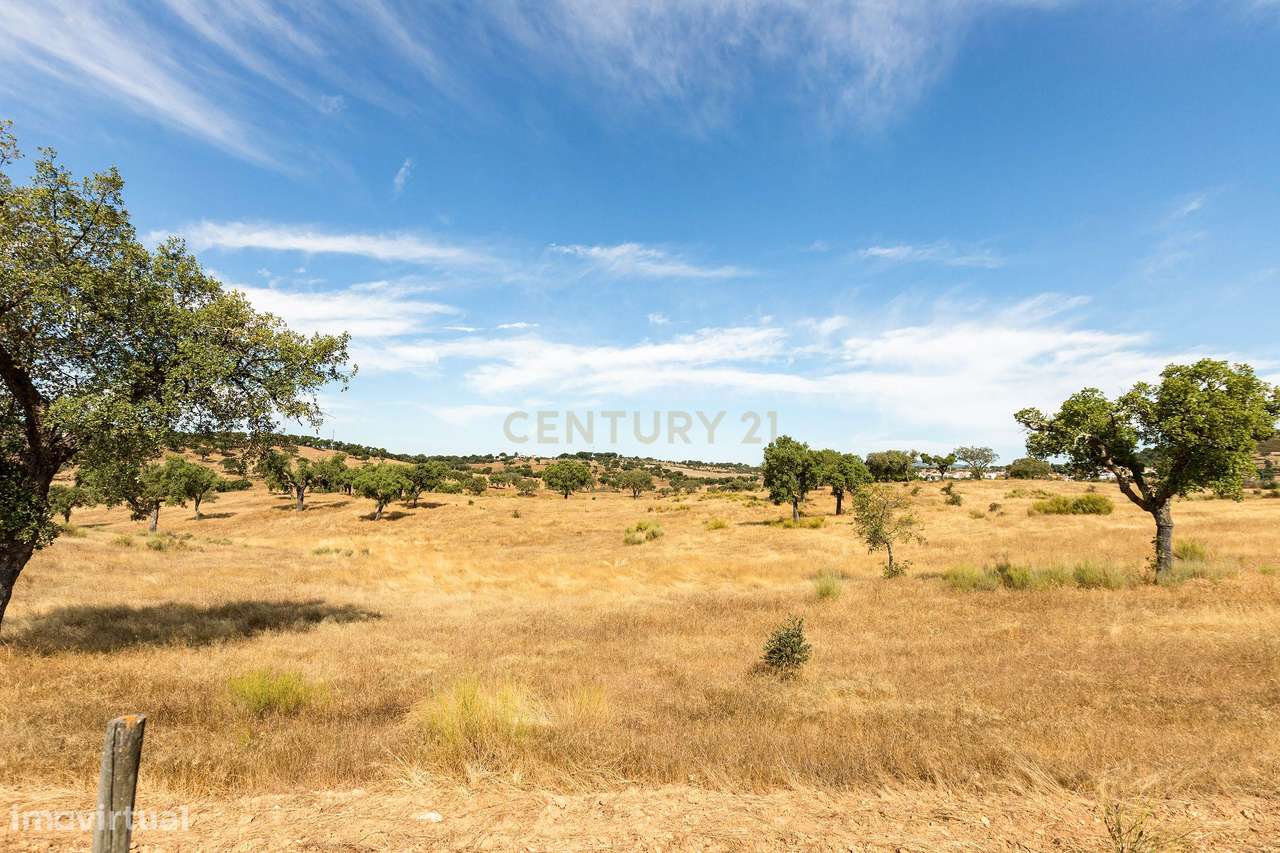 Monte Alentejano com 45 Hectares e Infraestruturas Agrícolas-10