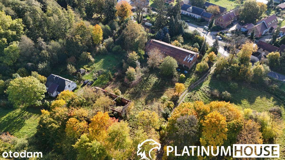 Działka 2000 m² – cisza i zieleń Buchałowa; WZ - Pełny obrazek: 4/8