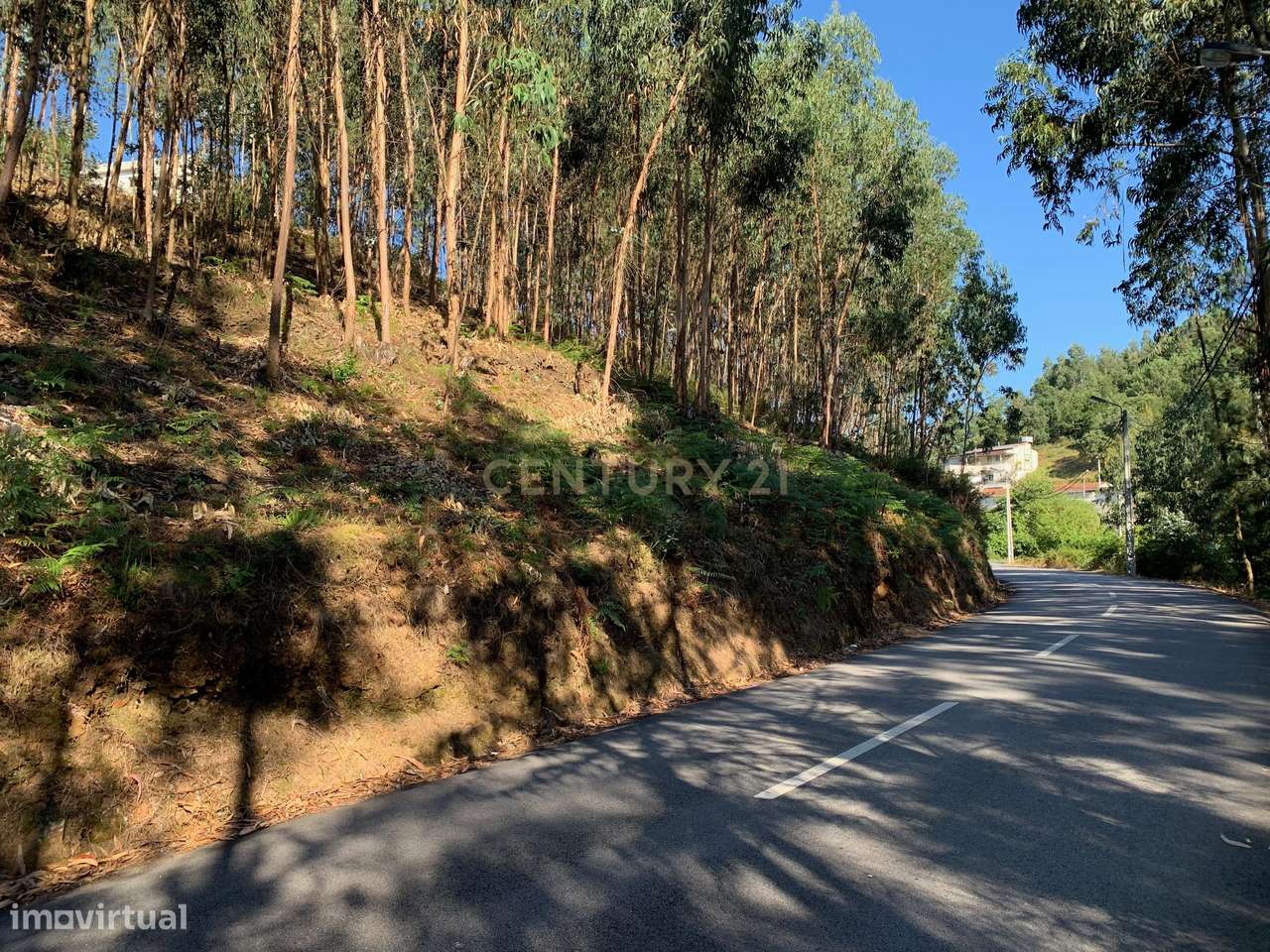 Terreno à venda em Lordelo, Paredes - 150.000€ - Grande imagem: 4/7