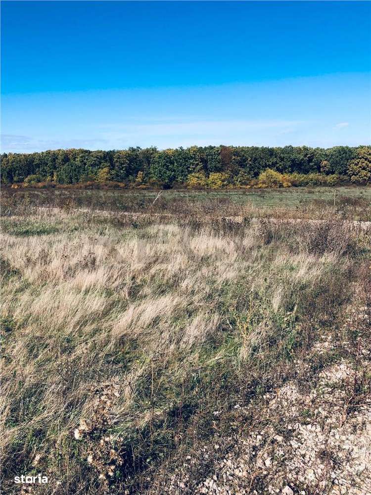 RECO Teren intravilan Cihei - Imagine principală: 1/5