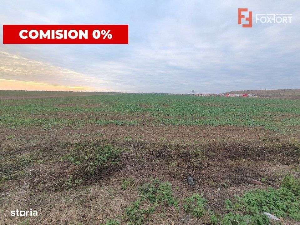 COMISION 0% Teren extravilan agricol 10.000 mp la sosea in Sag - Imagine principală: 2/6