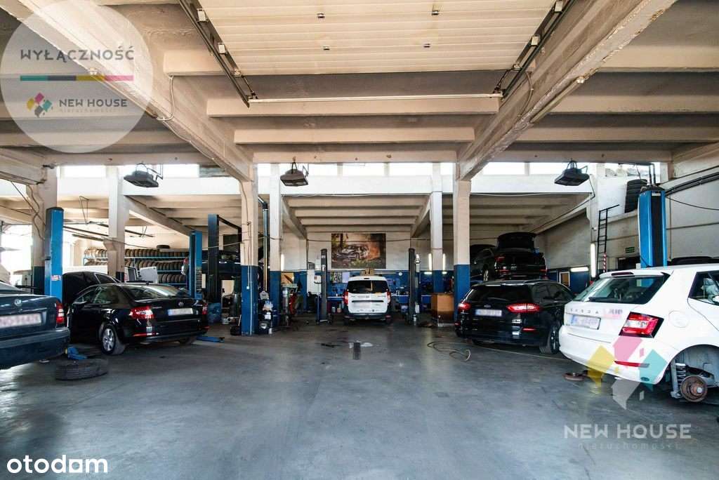 Hala/ magazyn/ warsztat, dobra lokalizacja - Pełny obrazek: 4/20