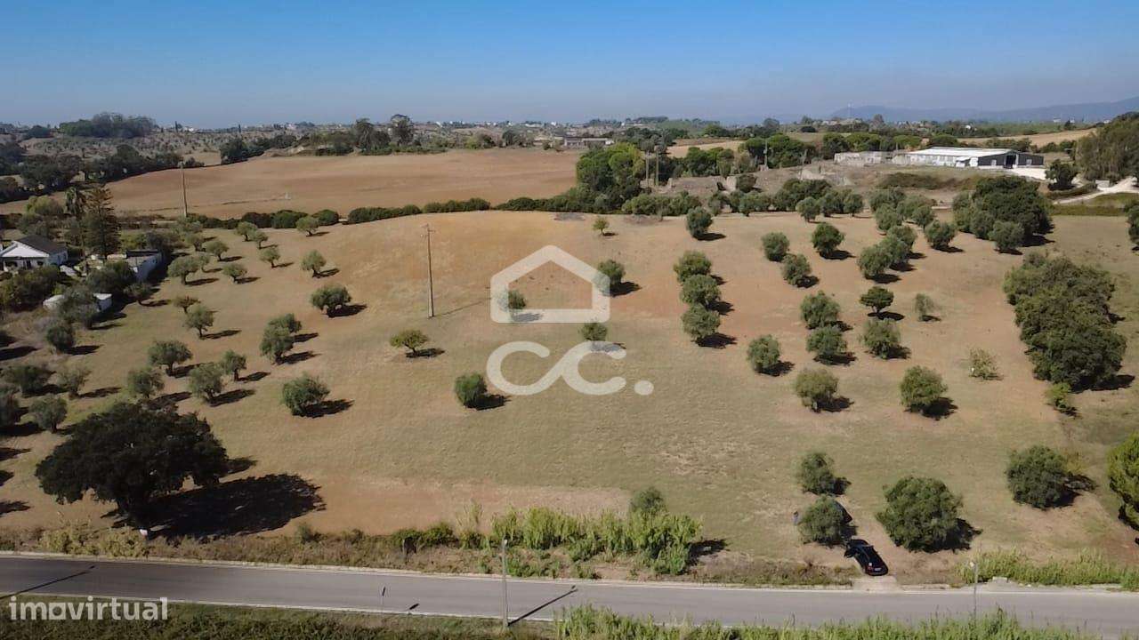 Terreno Rústico com 25.240 m² em Ferras, Gavata, Torres Novas – RAN-40