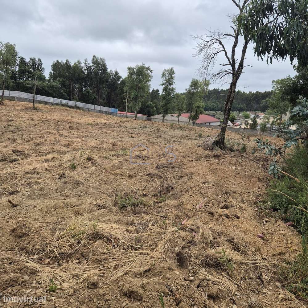 Terreno com 4.560 m² e Viabilidade de Construção – Casais, FZZ-16