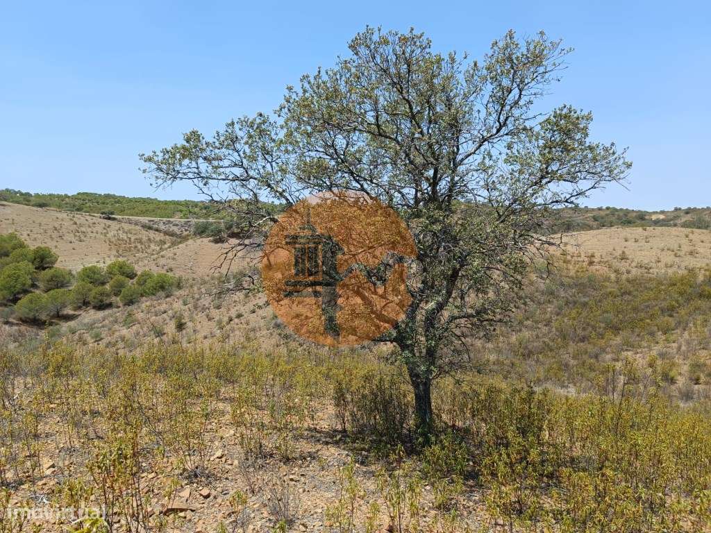 TERRENO RUSTICO COM 6.720 M2 - PRÓXIMO DA BARRAGEM DO BELICHE EM AL... - Grande imagem: 3/33