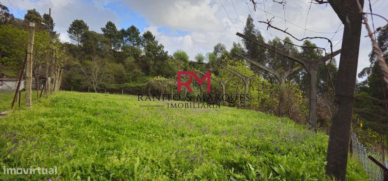 TERRENO COM 13000 m2 PARA CONSTRUÇÃO - SUSÃO, VALONGO - Grande imagem: 5/17