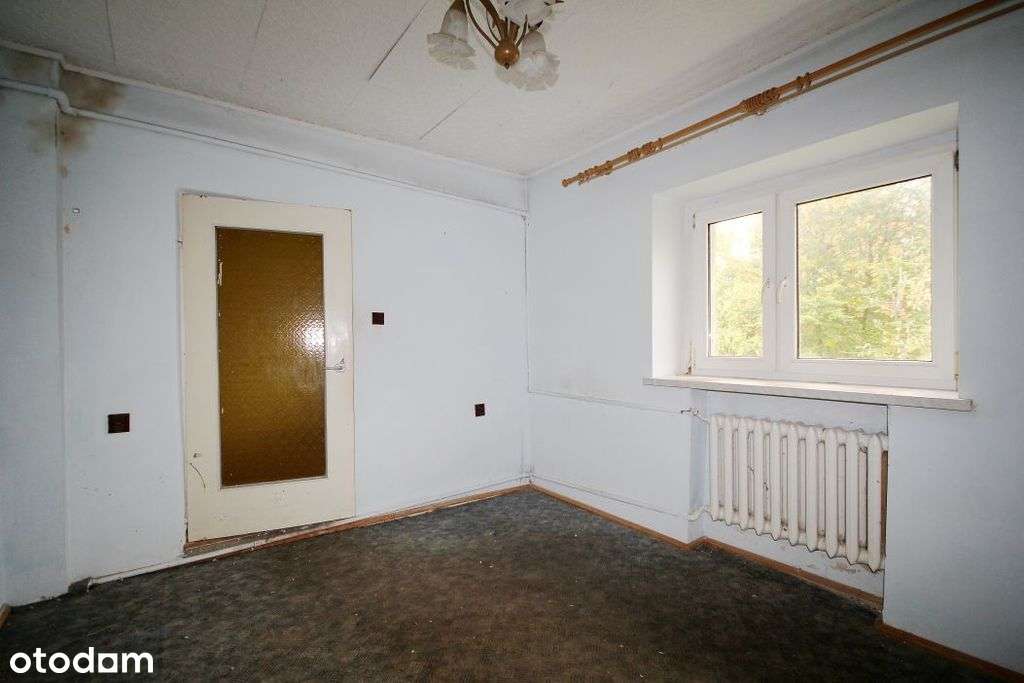 Budynek z obszerną działką z potencjałem-19