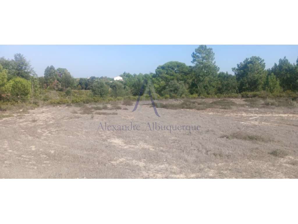 Terreno rústico com 1516 m2 - Grande imagem: 4/5