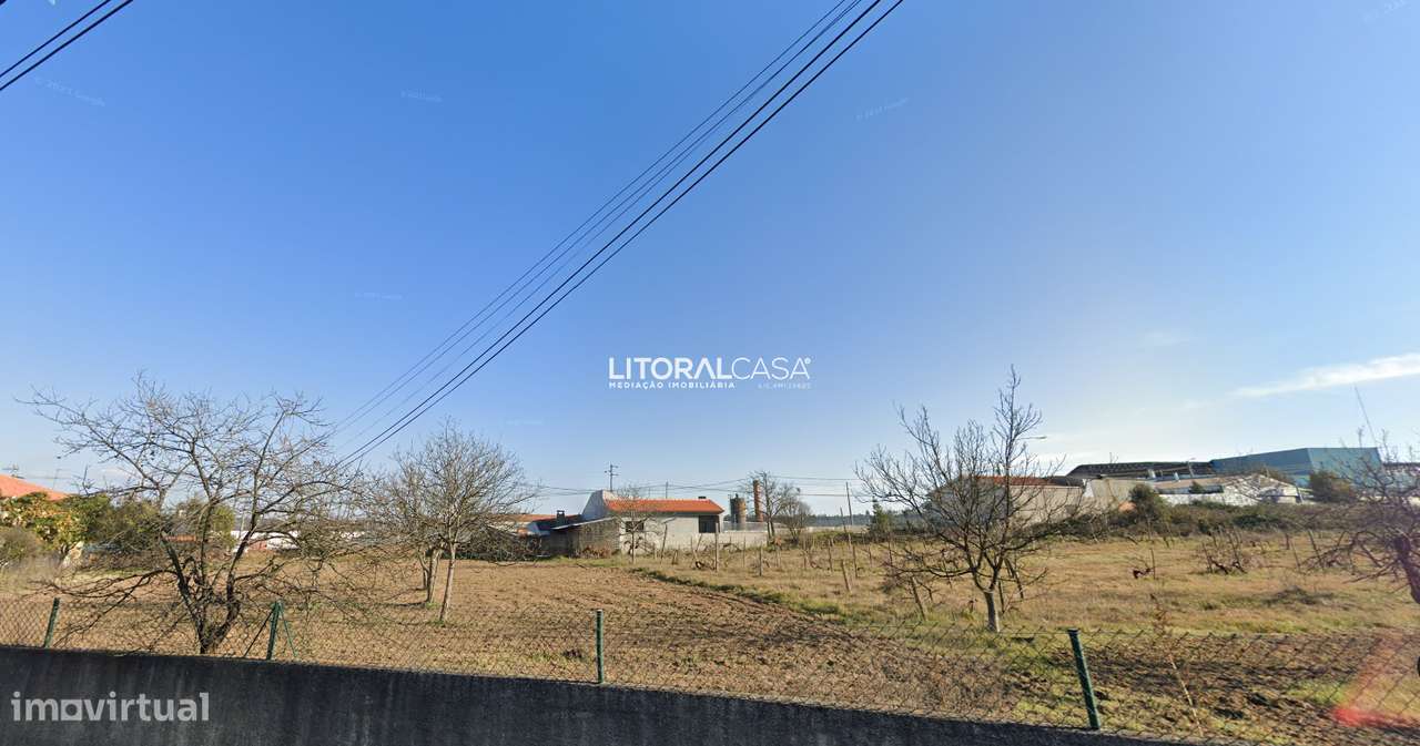 Terreno em Oliveira do Bairro - Grande imagem: 3/3