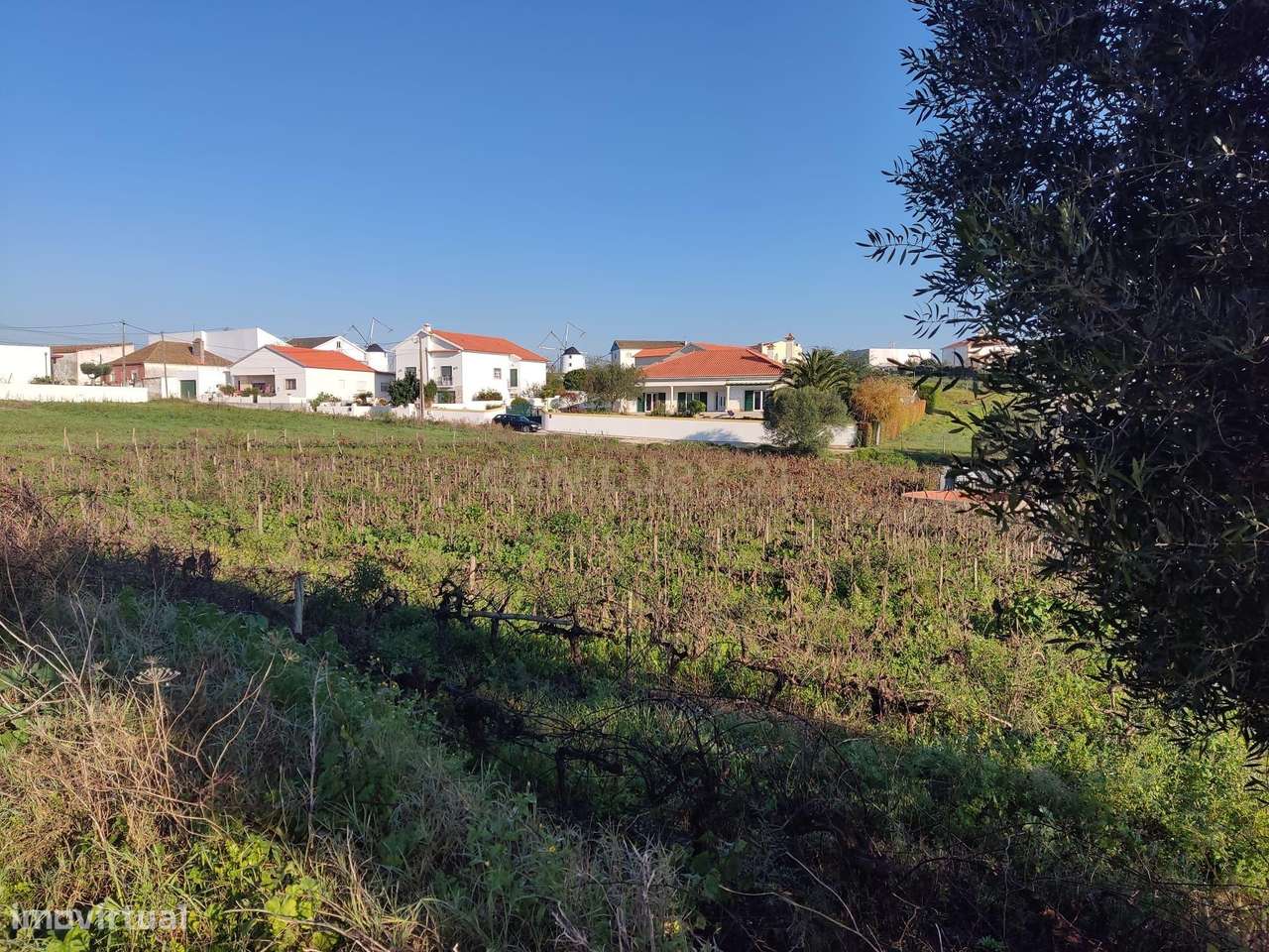 Terreno para construção - Ventosa, Torres Vedras - Grande imagem: 4/9
