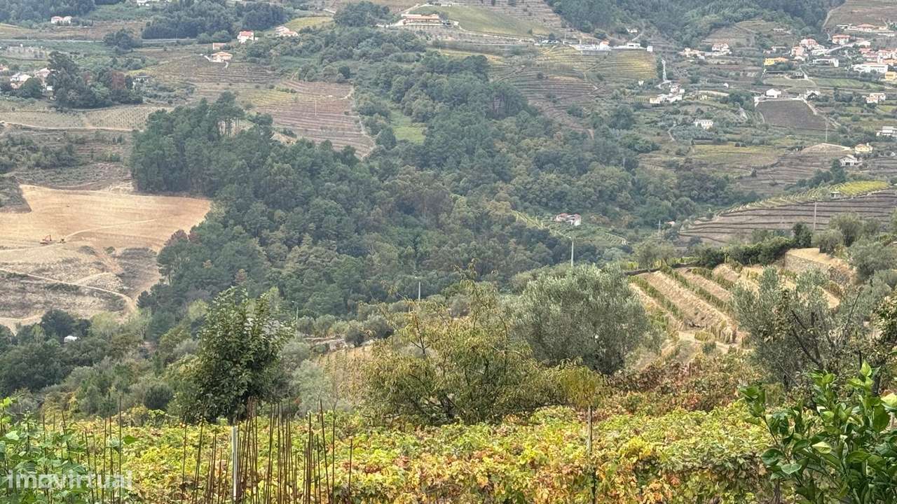 Quinta do Prado em Moura Morta, Régua-1