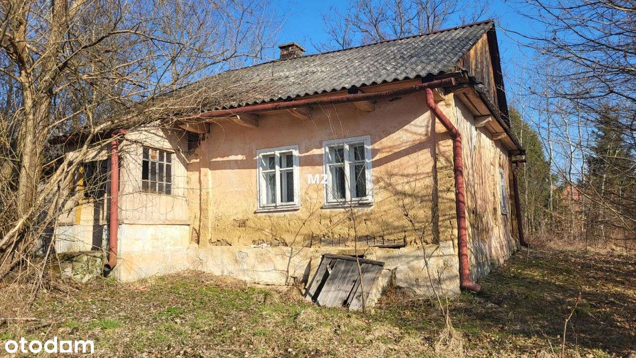 Piękna działka budowlano- leśna z drewnianym domem - Pełny obrazek: 3/6