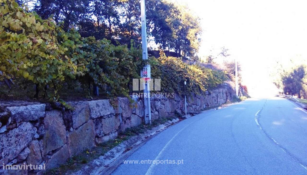 Venda Terreno, Paredes  de Viadores, Marco de Canaveses - Grande imagem: 2/12