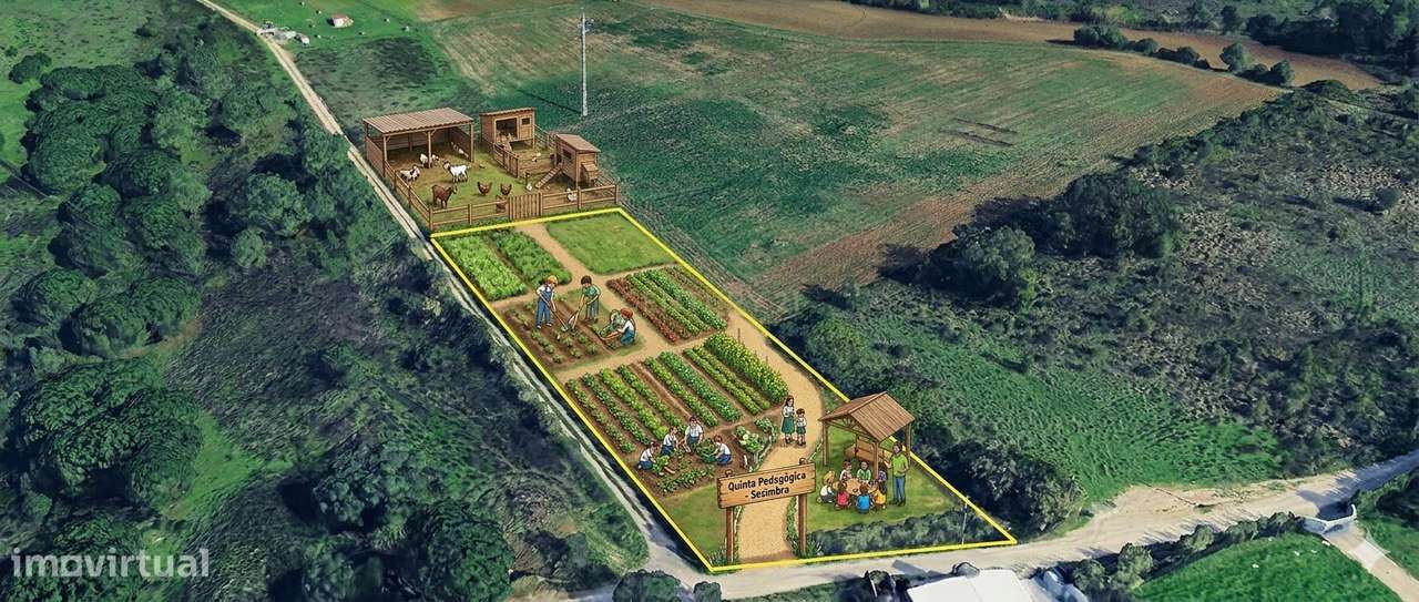 TERRENO RÚSTICO PARA PROJETO AGRÍCOLA / NATUREZA - Grande imagem: 4/16