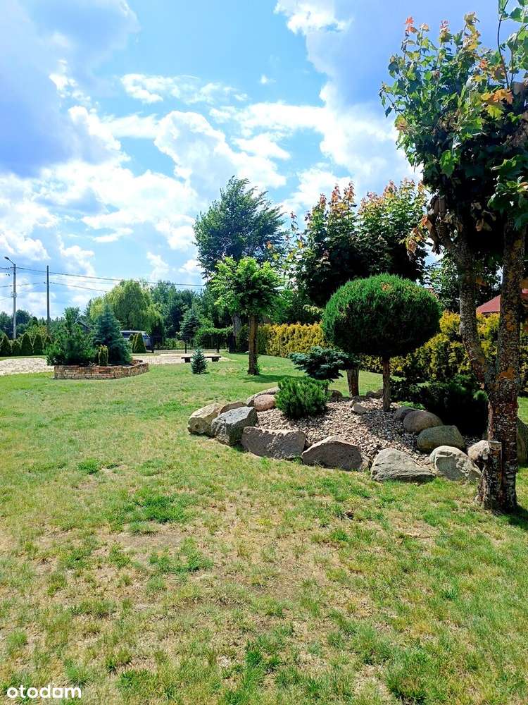 Przepiękna działka inwestycyjna w Siemianówce-4