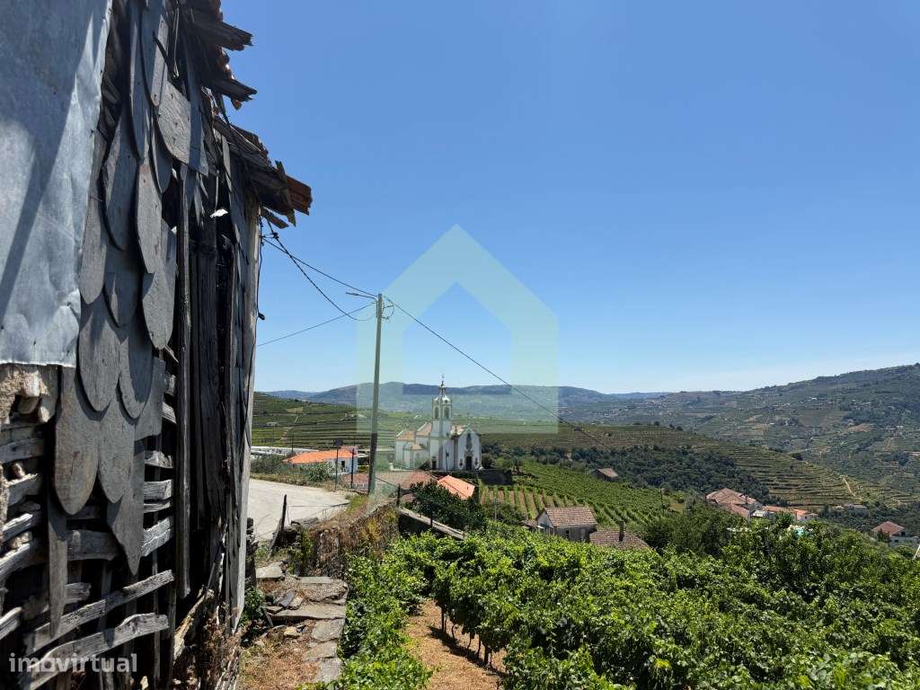 Casa de campo com projeto aprovado em Cidadelhe, Mesão Frio-14
