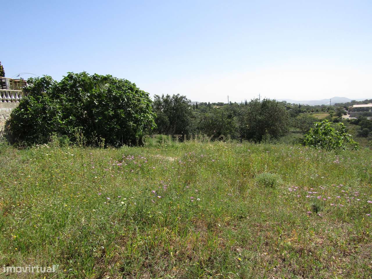 Terreno Rústico - Grande imagem: 3/5