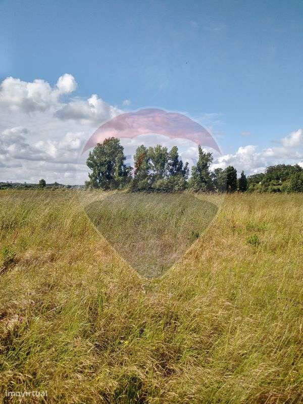 Terreno para Venda - Grande imagem: 4/4