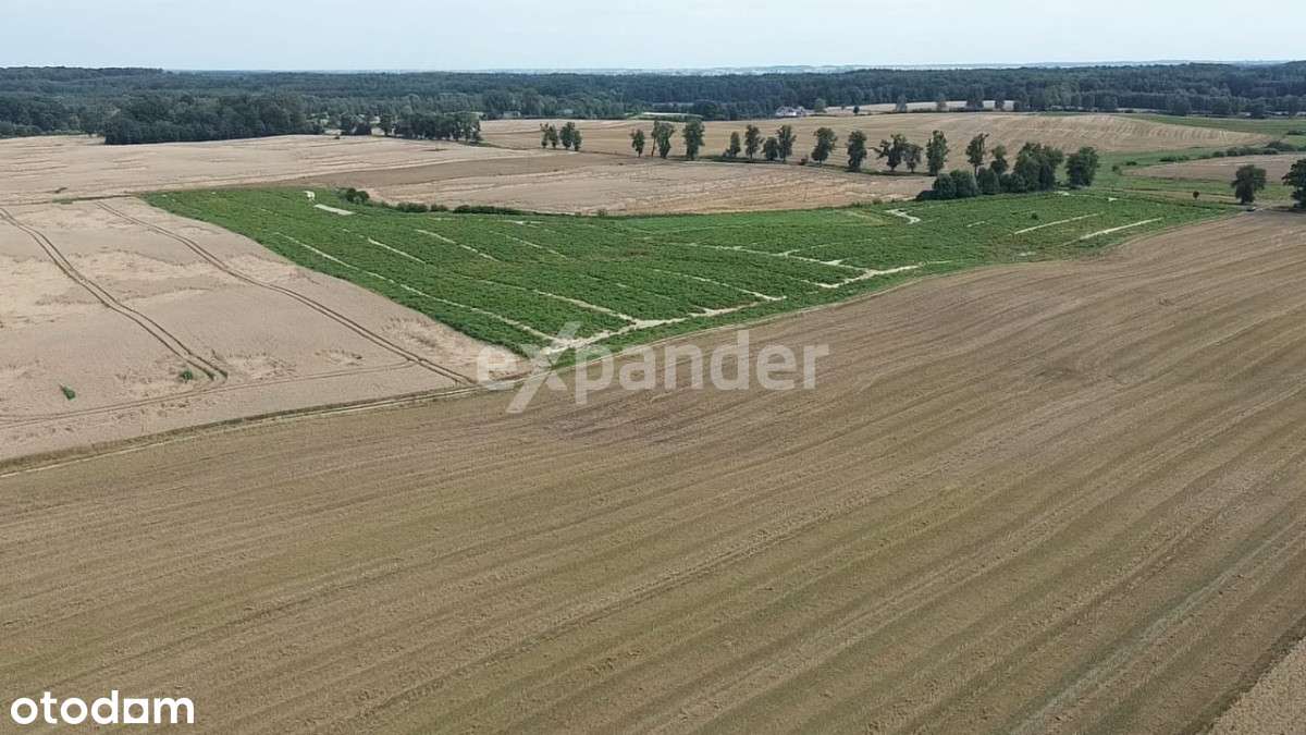 ex681704 - Pełny obrazek: 4/5