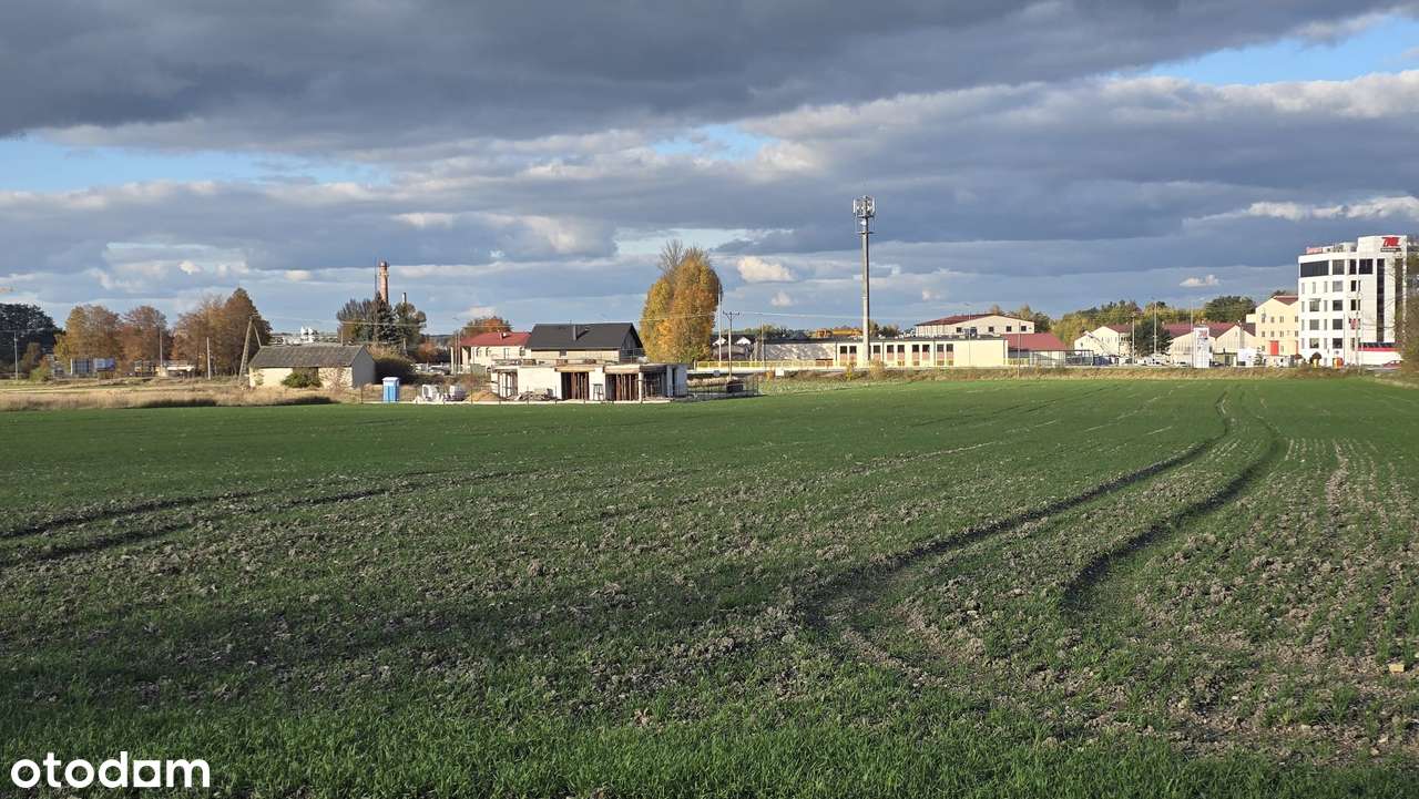 Działka, Włoszczowa, ul. Jędrzejowska, Nowe Centrum Włoszczowy NCW - Pełny obrazek: 5/6