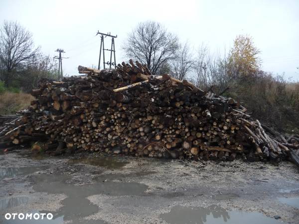 SPRZEDAM DREWNO KOMINKOWE OPAŁOWE DUŻE ILOŚCI ATRAKCYJNE CENY - 2